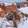 Bryce canyon 21